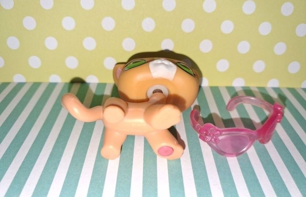Littlest Pet Shop LPS unikatowy kot Shorthair #72 pop