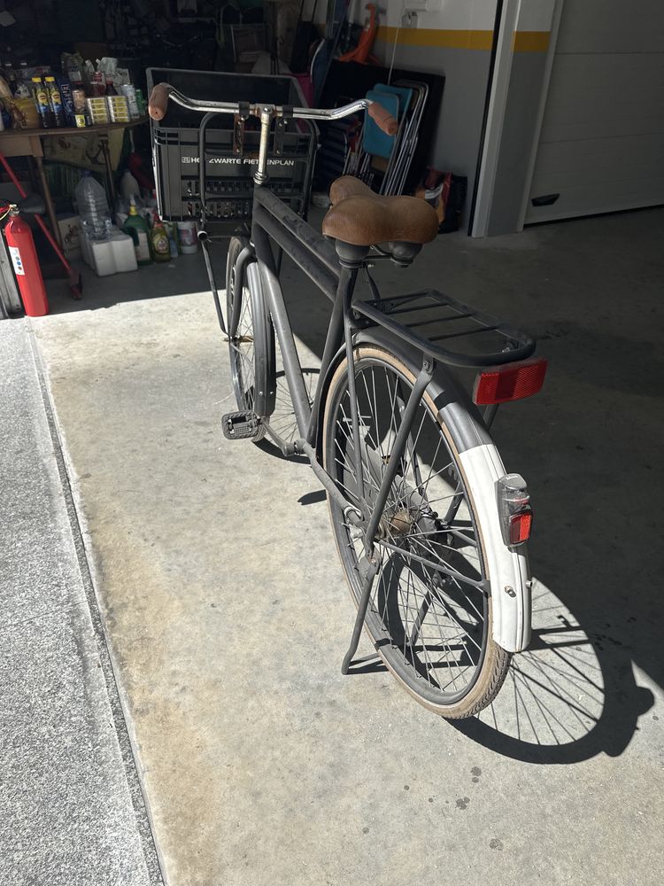 Bicicleta tipo Paises Baixos