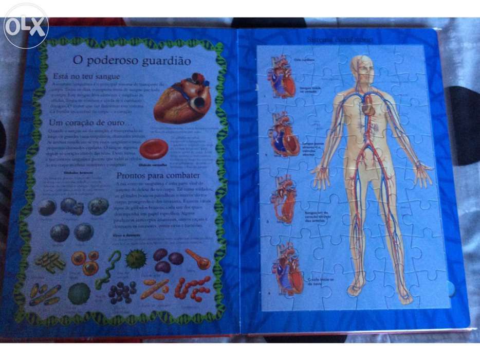 Livro - puzzle Corpo Humano