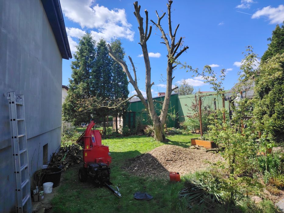 Wycinka drzew, skracanie, czyszczenie działek