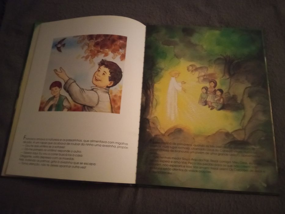 Livros Infantis Usados Impecáveis