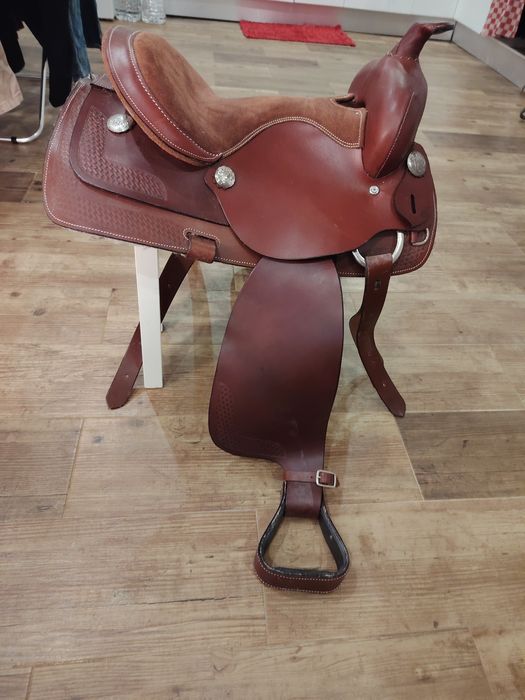 Sela australiana nova