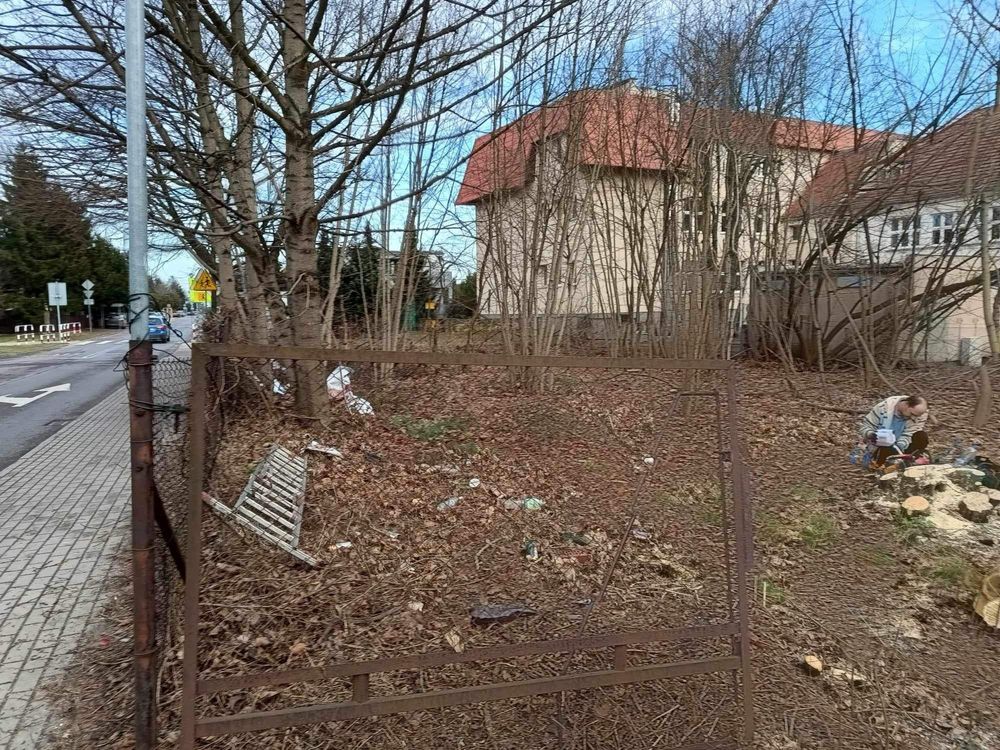 Tania Wycinka drzew karczowanie trawnik z rolki wywóz gałezi ogrodnik