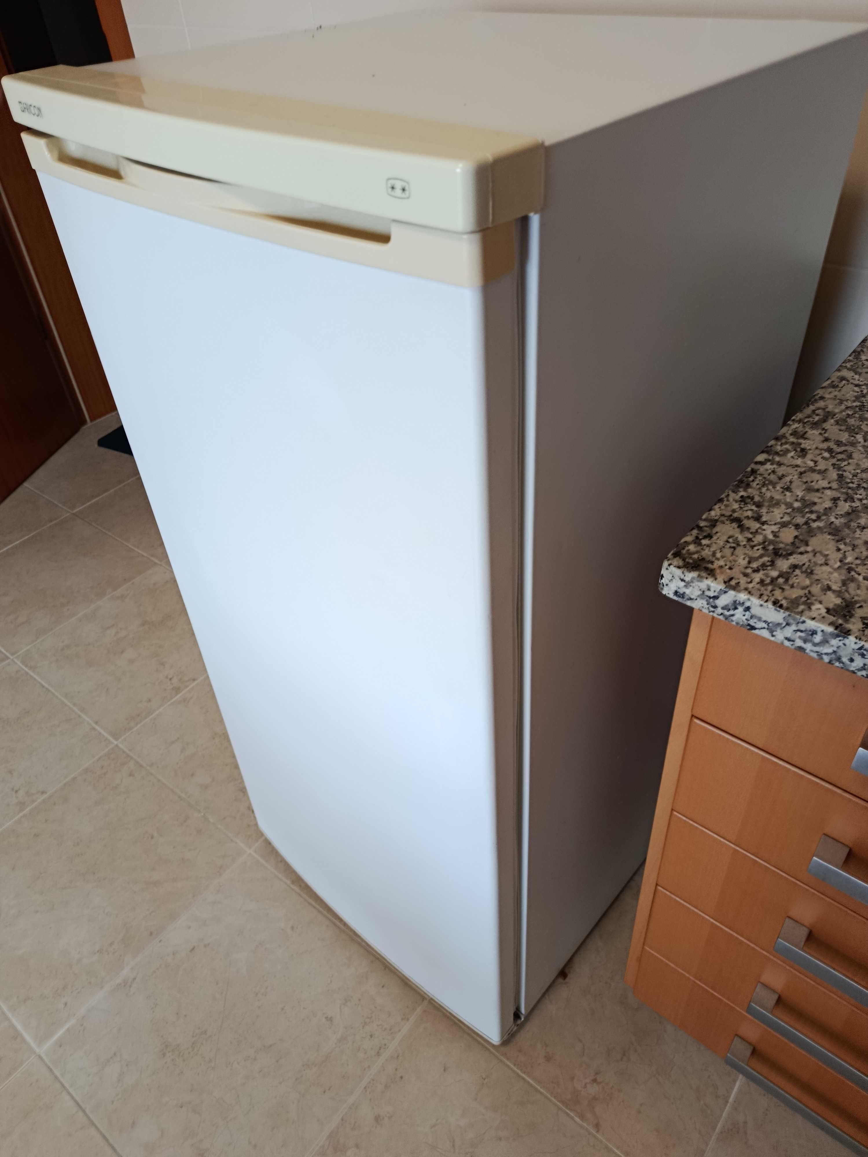Frigorífico branco Fricon até 15 setembro