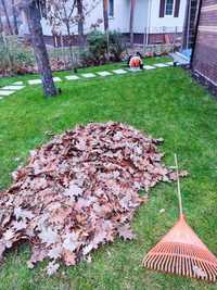 Уборка листьев, уборка  территории после зимы, уборка бурьяна.
