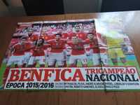 4 Posters Benfica Campeão