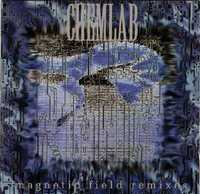 CHEMLAB cd Magnetic Field  Remixes      industrial