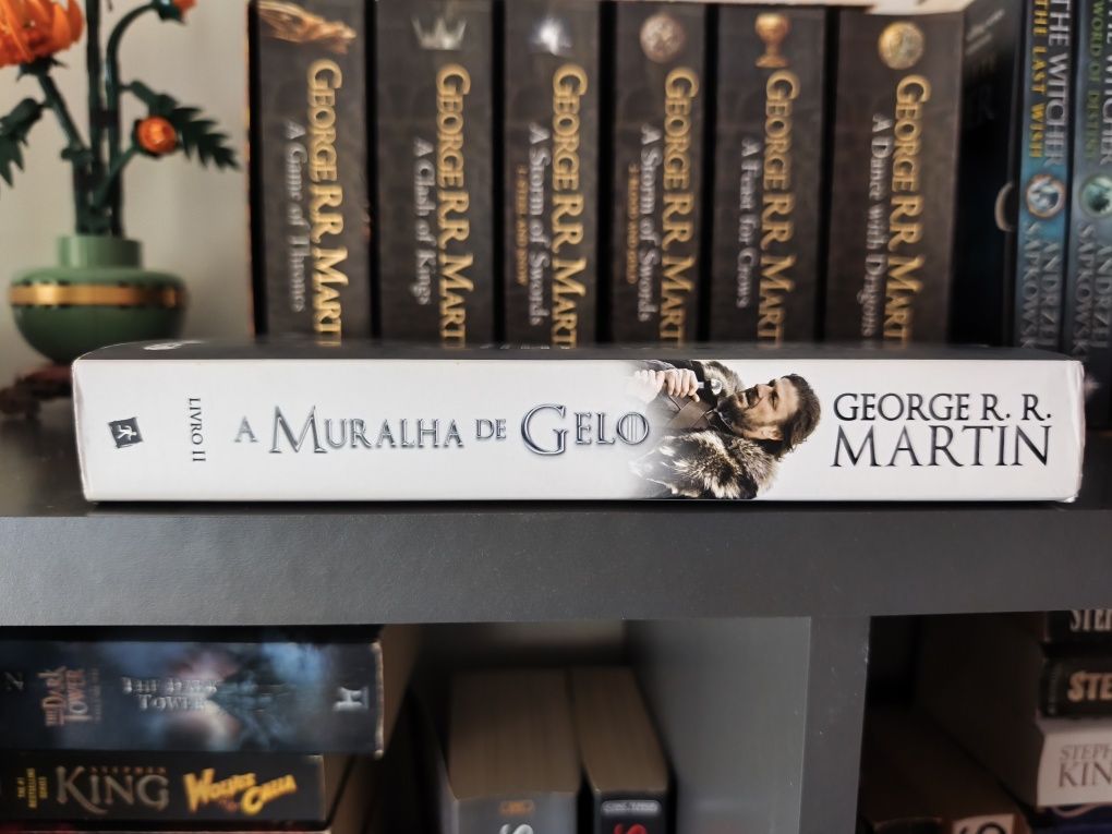A Muralha de Gelo - George R. R. Martin