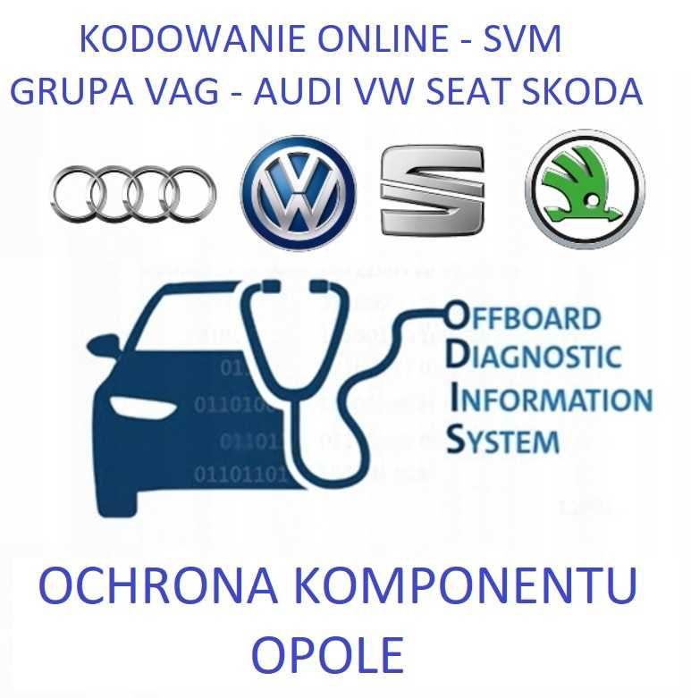 Ochrona Komponentu CP OFF Kodowanie Audi Seat Skoda VW Opole