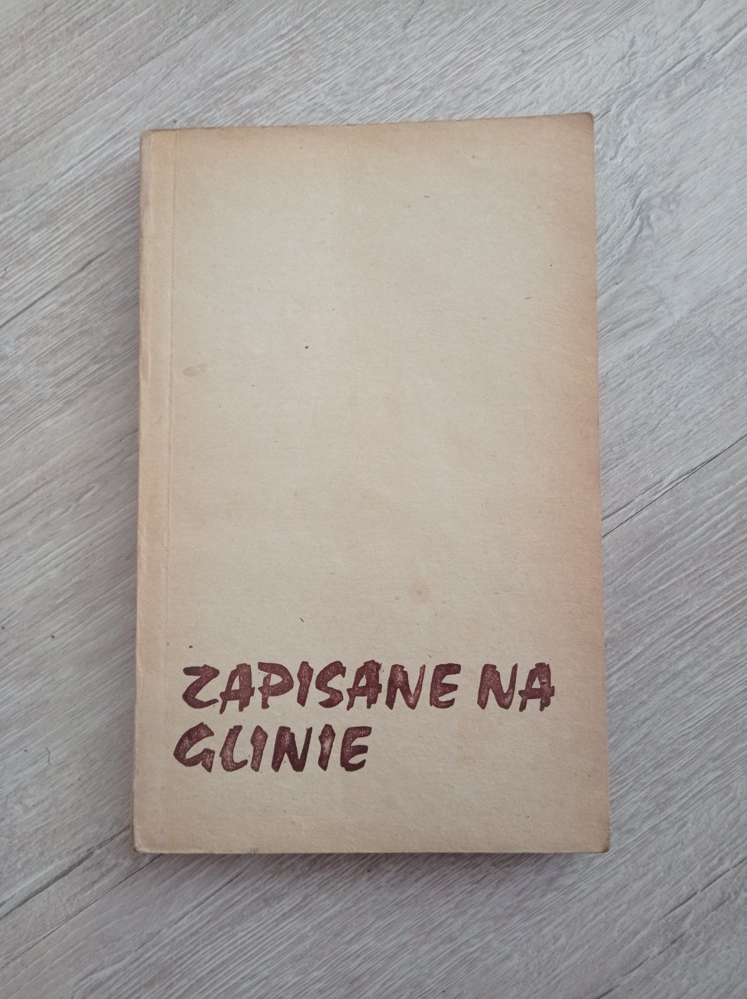 Zapisane na glinie. Antoni Mierzejewski