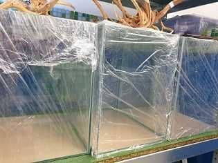 Akwarium na wymiar; Sklep akwarystyczno-zoologiczny AKWAREKS