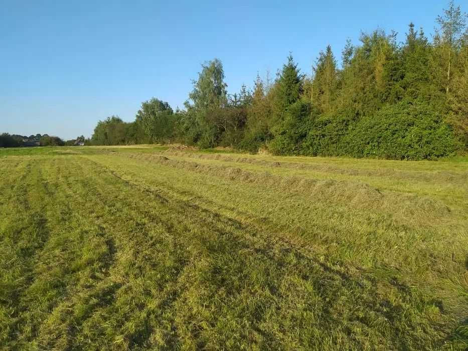 Działki budowlane w spokojnej okolicy