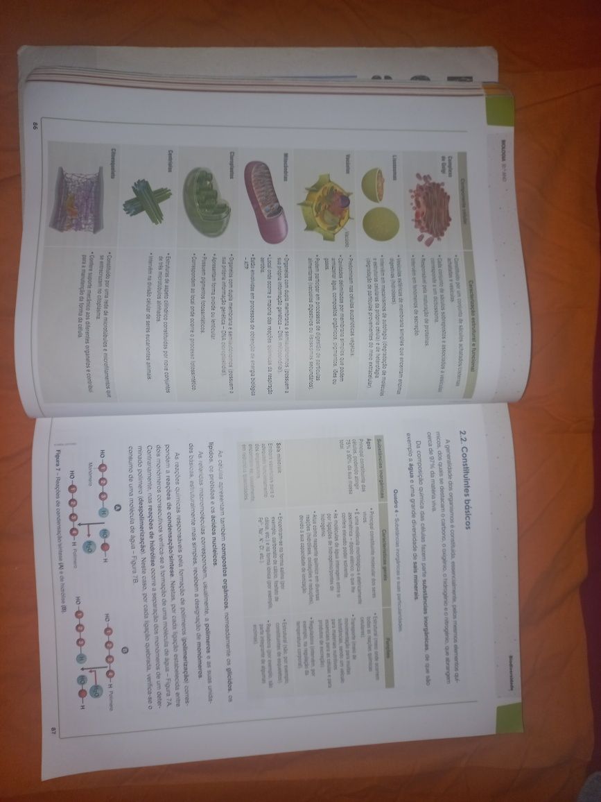 Livro de preparação para exame de Biologia e Geologia