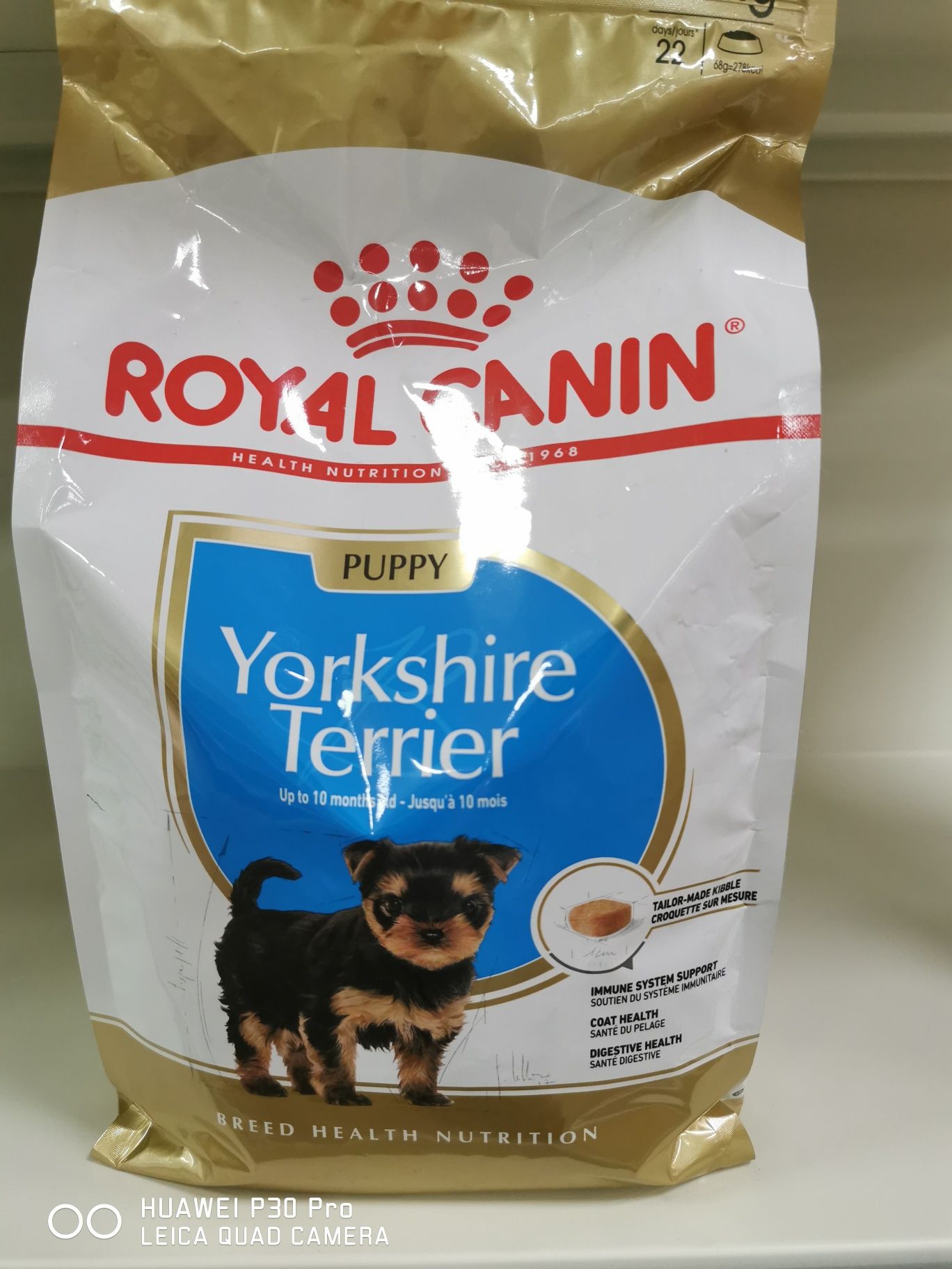 Karma dla Yorka  Royal Canin