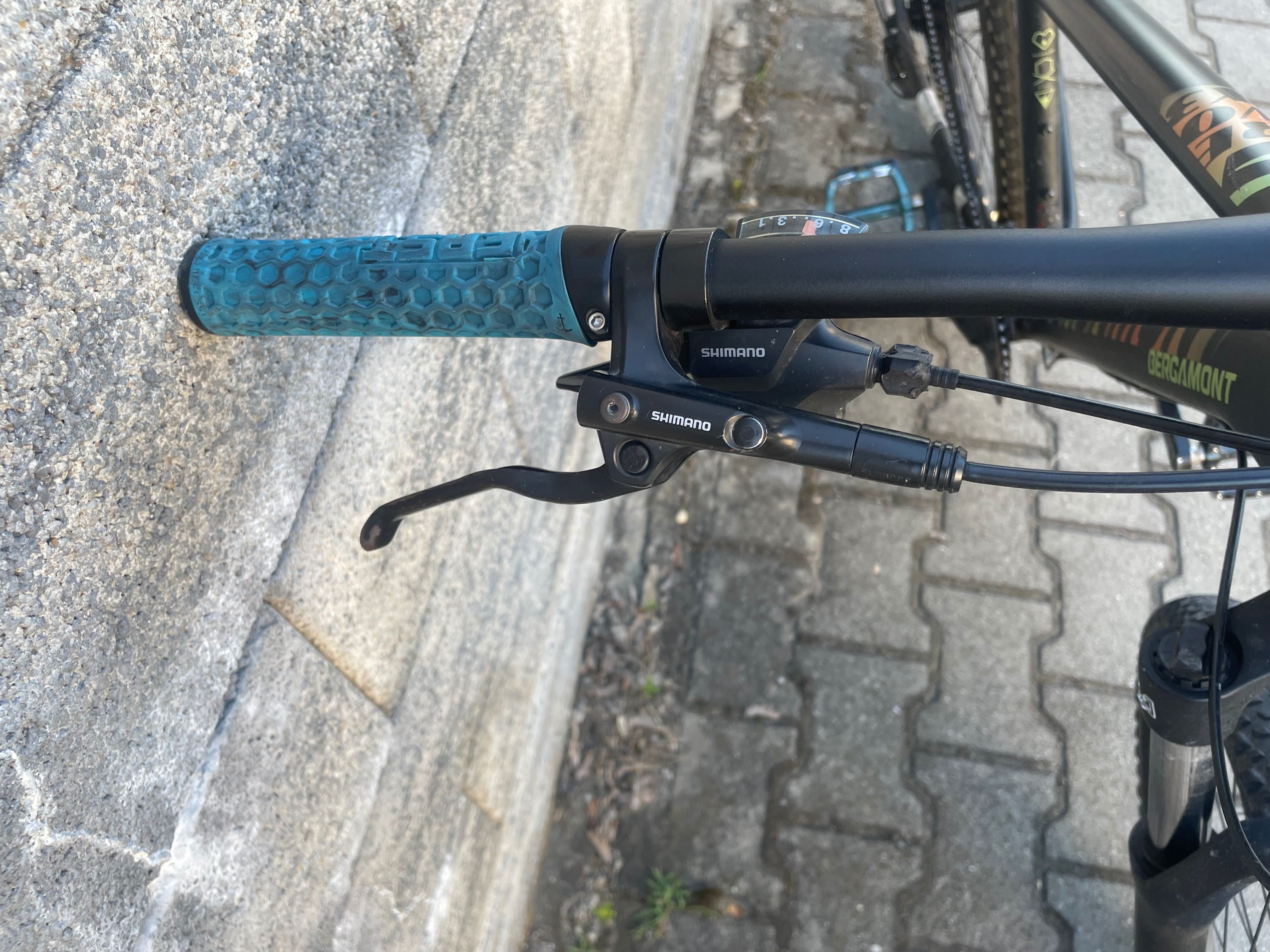 Rower Bergamont revox 3