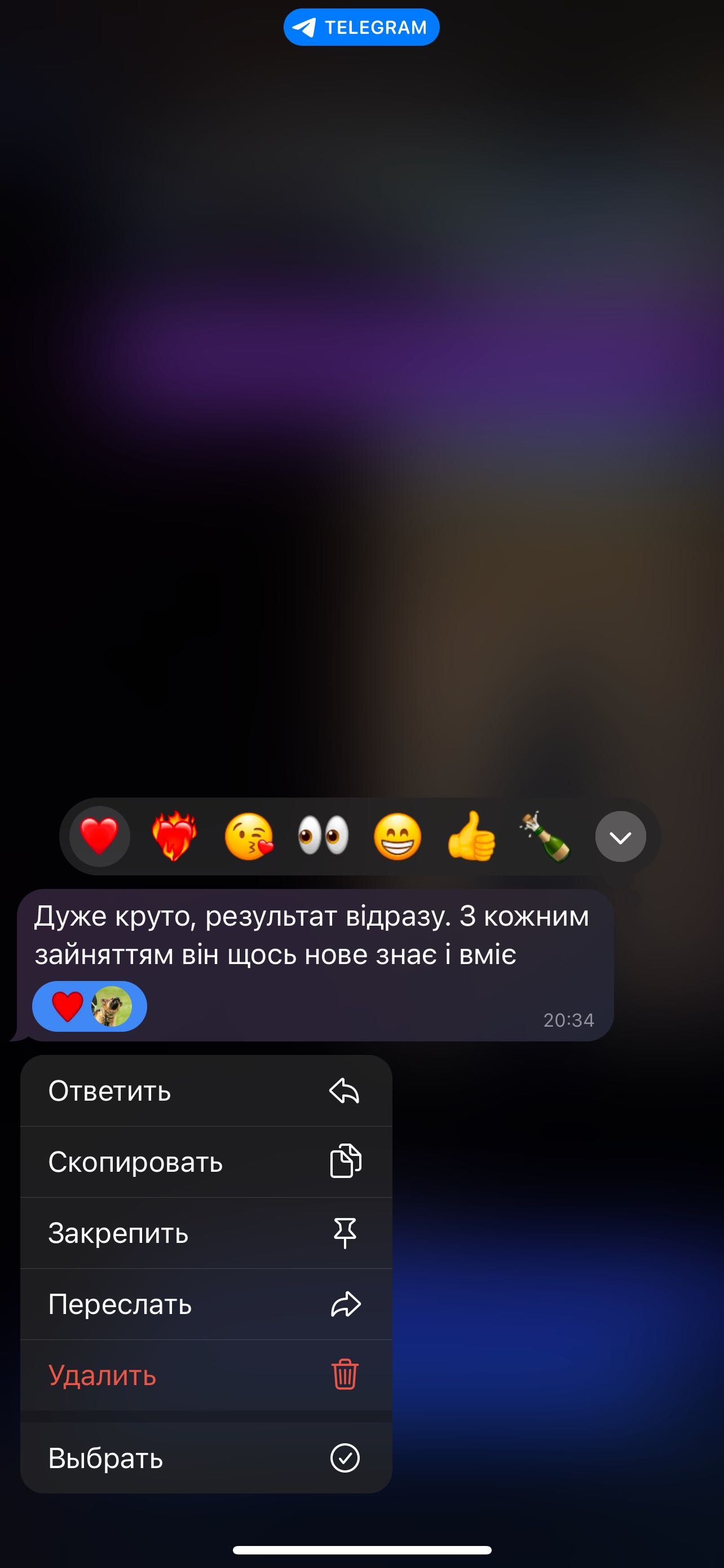 Кінолог | Дресирування собак | Львів