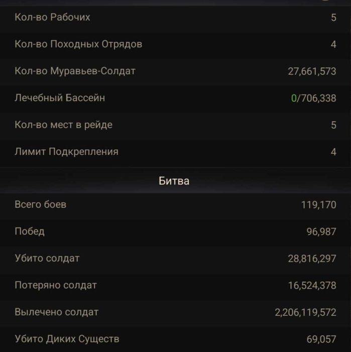 Акаунт     The Ants