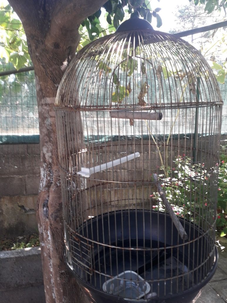 Gaiola para os pássaros
