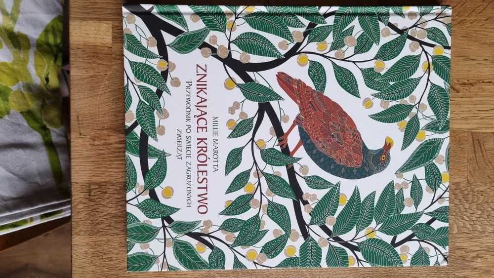 Pan Maluśkiewicz i wieloryb Znikające Królestwo Bajki ludowe