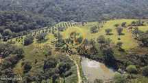 Herdade de 60 ha em Odemira
