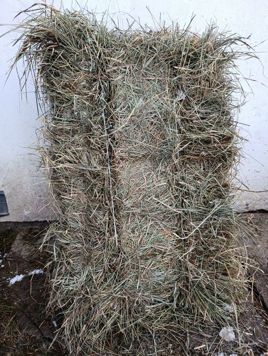 Продам сіно в тюках і солому .