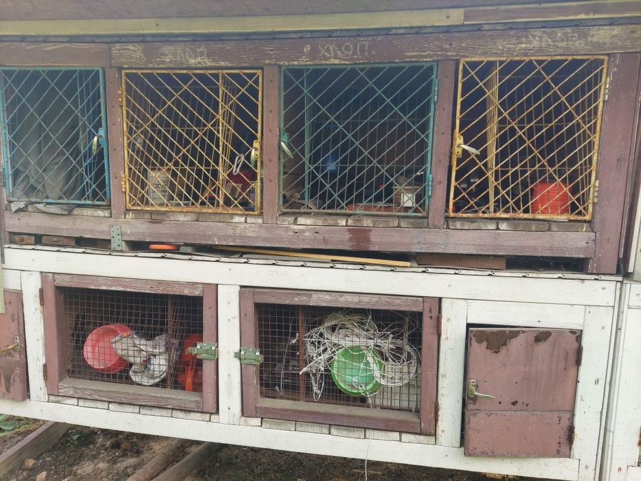 Продам гарні кролячі клітки б / у