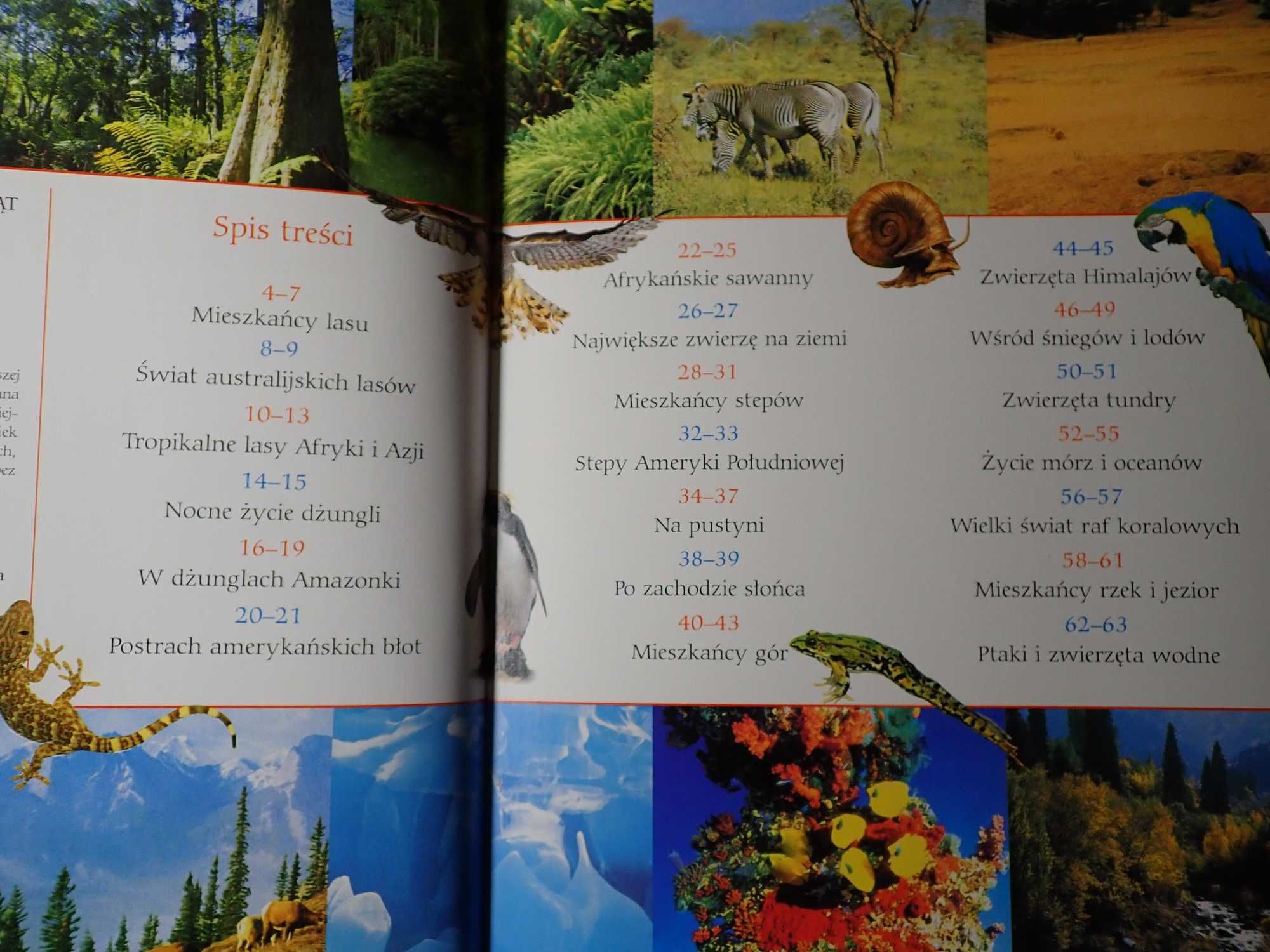 Zadziwiający Świat Zwierząt encyklopedia album dla dzieci młodzieży