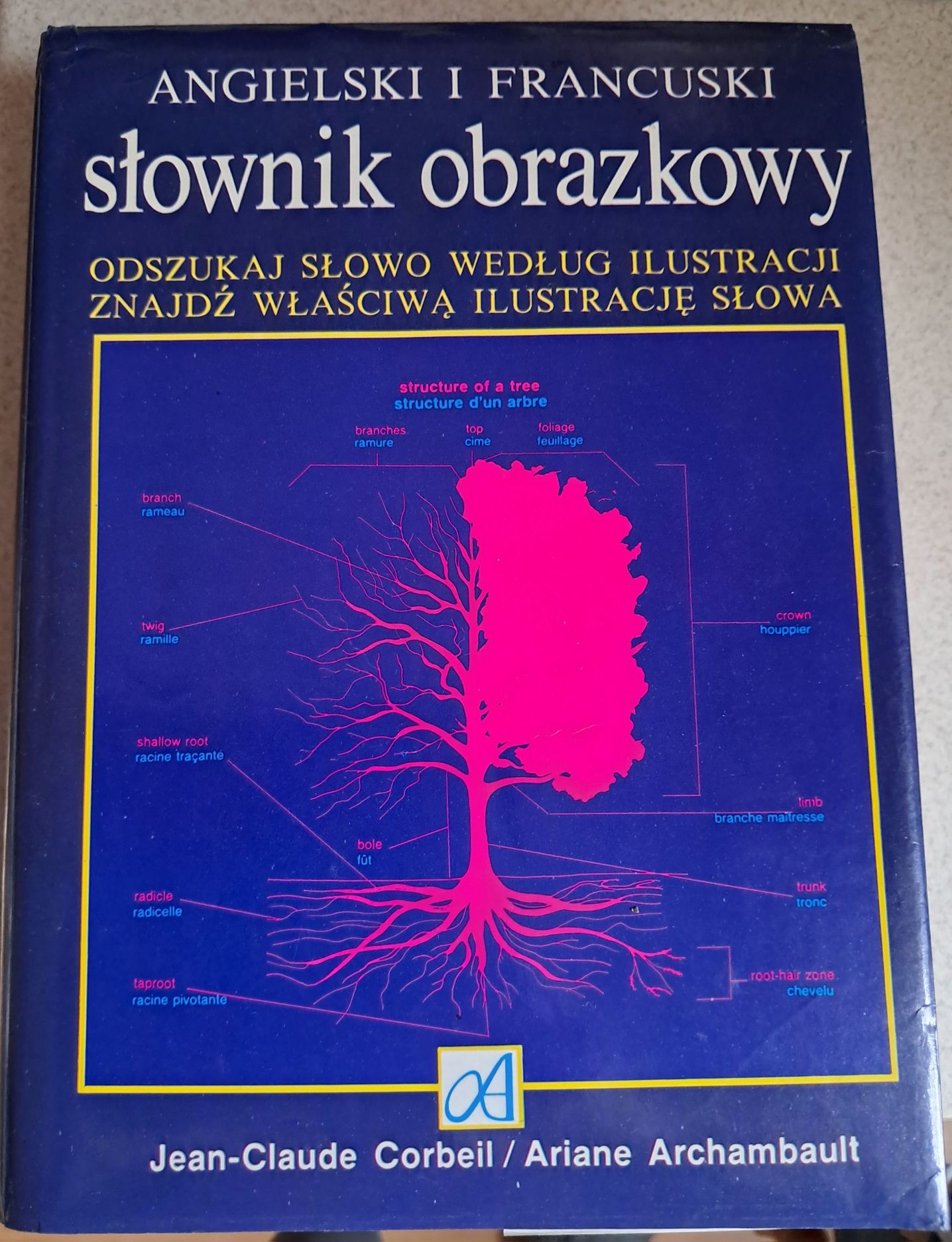 Angielski i francuski Słownik obrazkowy