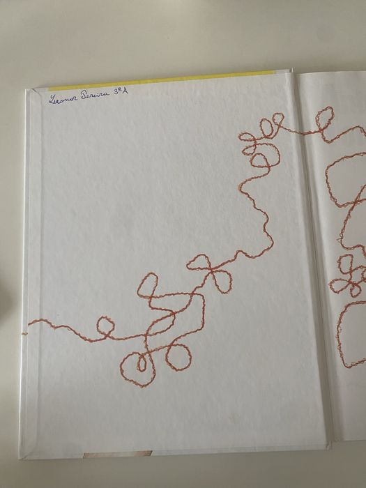Livro “Trinta por uma Linha”