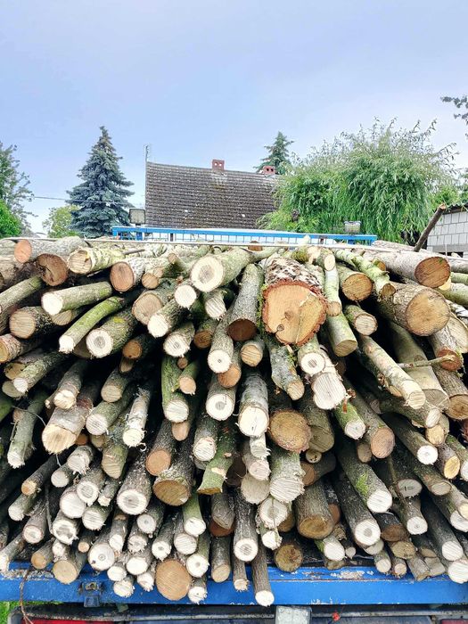 Sprzedam drewno opałowe