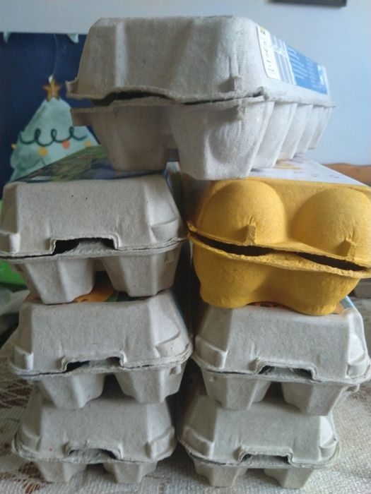 Wytłoczki na jajka jaja na 10 sztuk jak jajek, 20 sztuk