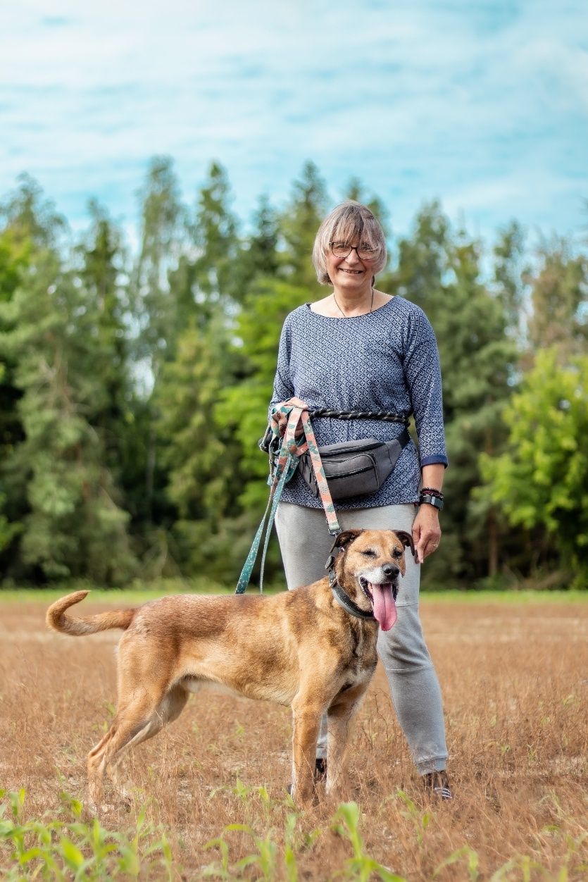 Bary - odebrany interwencyjnie, głodzony, rudasek do adopcji!