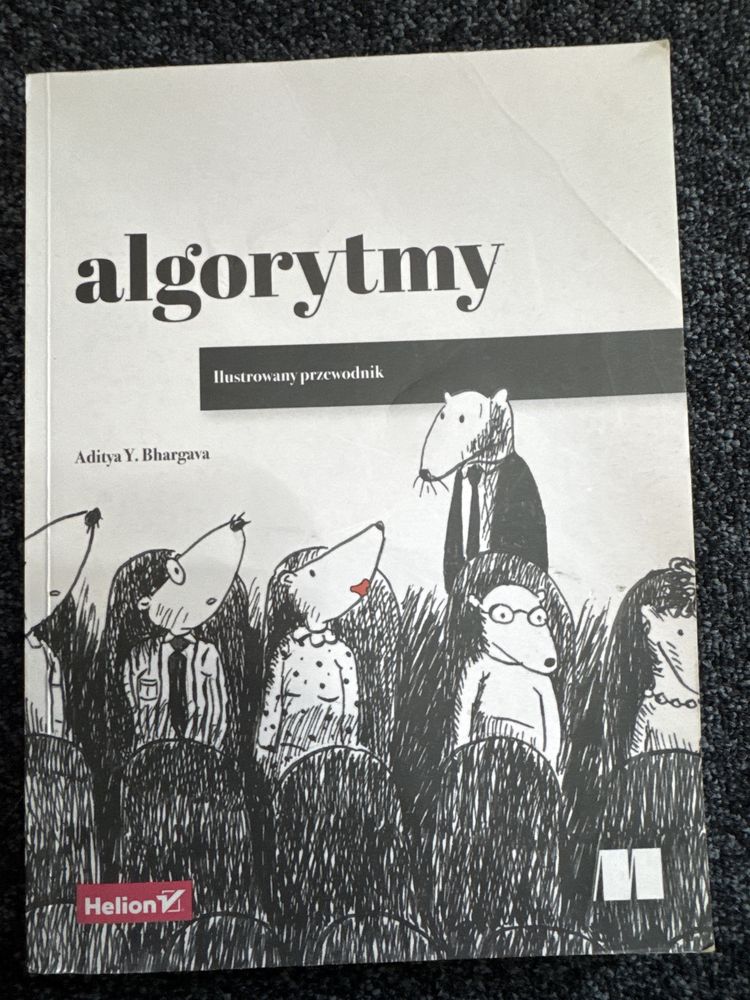 Algorytmy - ilustrowany przewodnik