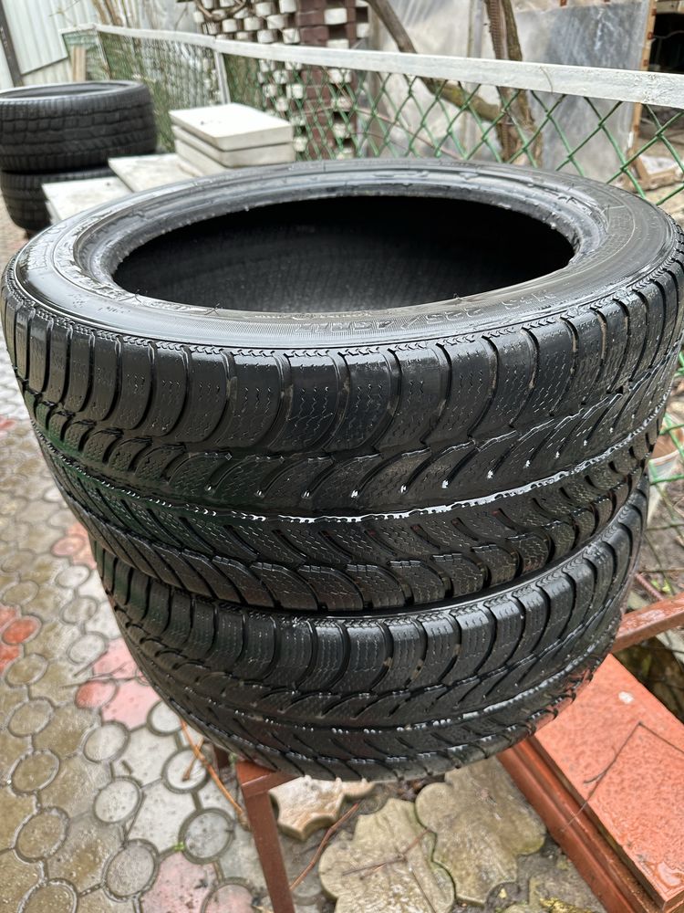 Шини 225/45 R17 Sava Eskimos 2 шт, зима