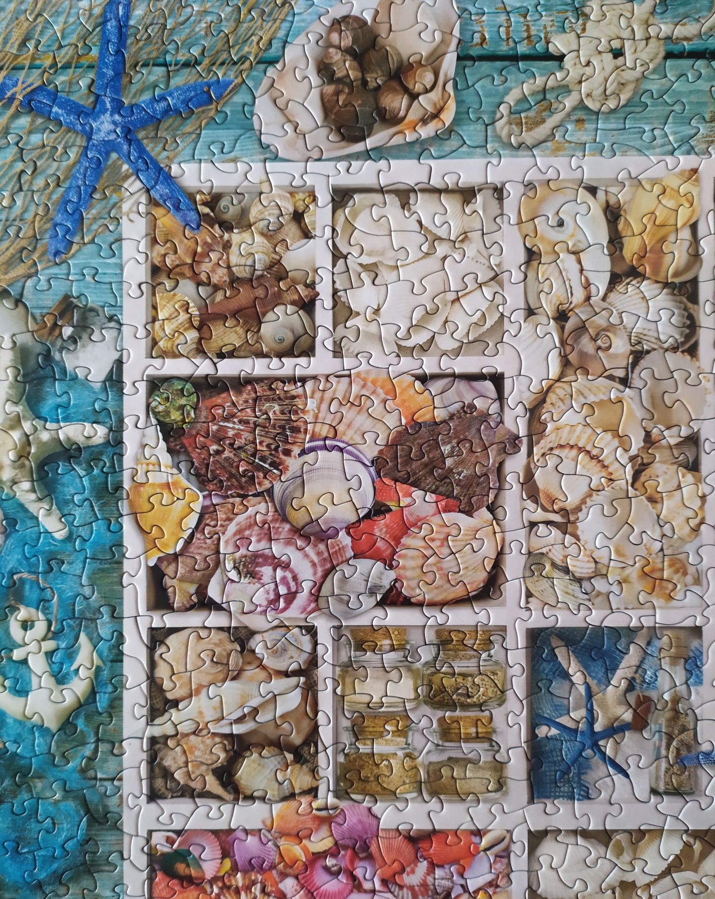 Puzzle Eurographics 1000 Seashell collection Smart cut