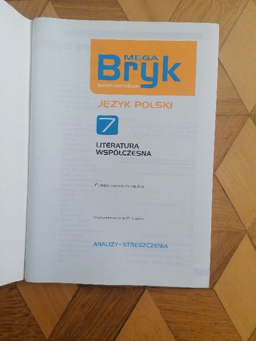 Bryk język polski analizy i streszczenia