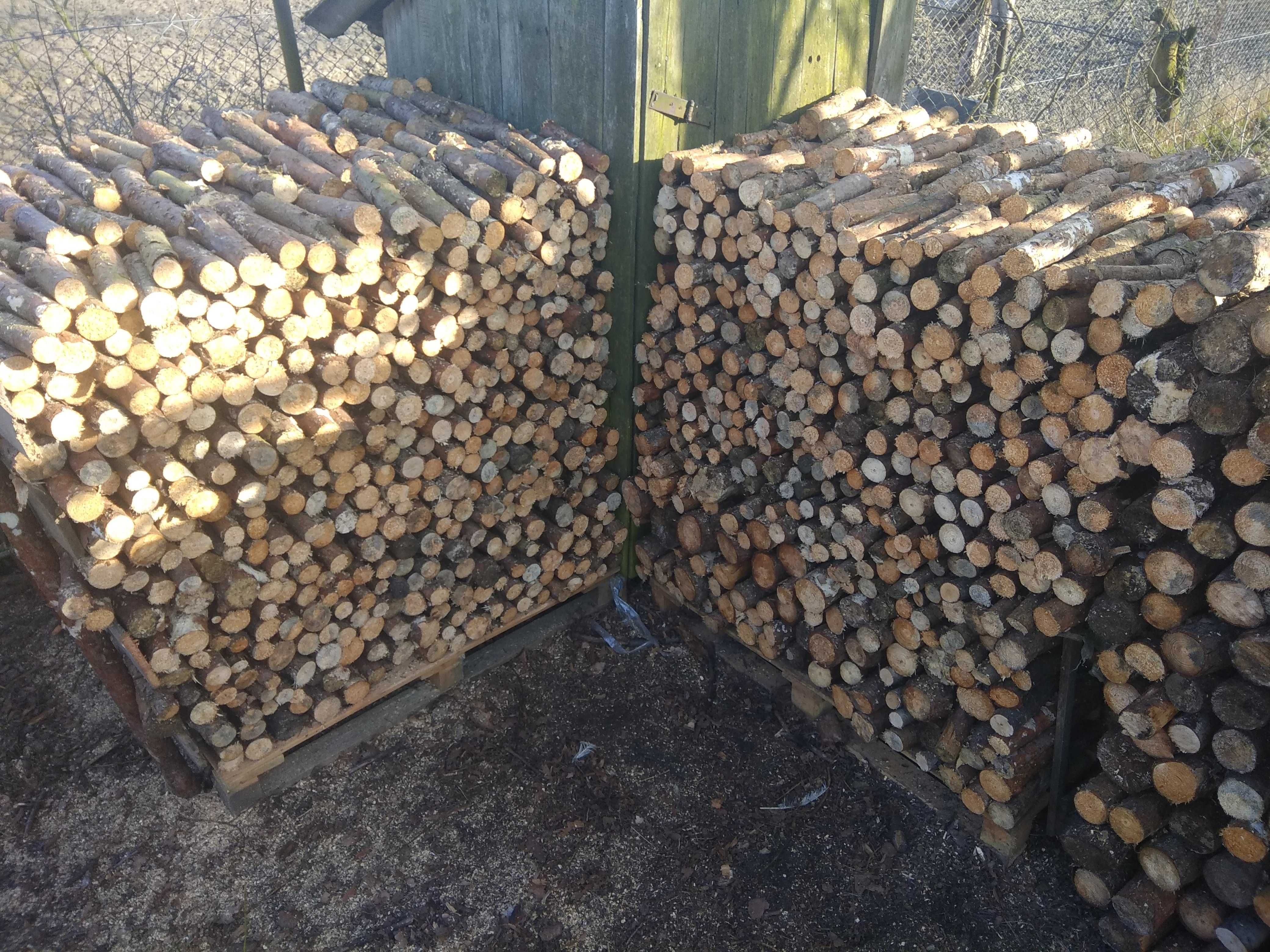drewno sosnowe: opałowe, na stemple, słupki, żerdzie, pocięte, wałki