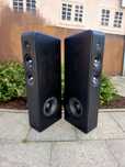 Kolumny podłogowe Audio Pro Avanto FS-20