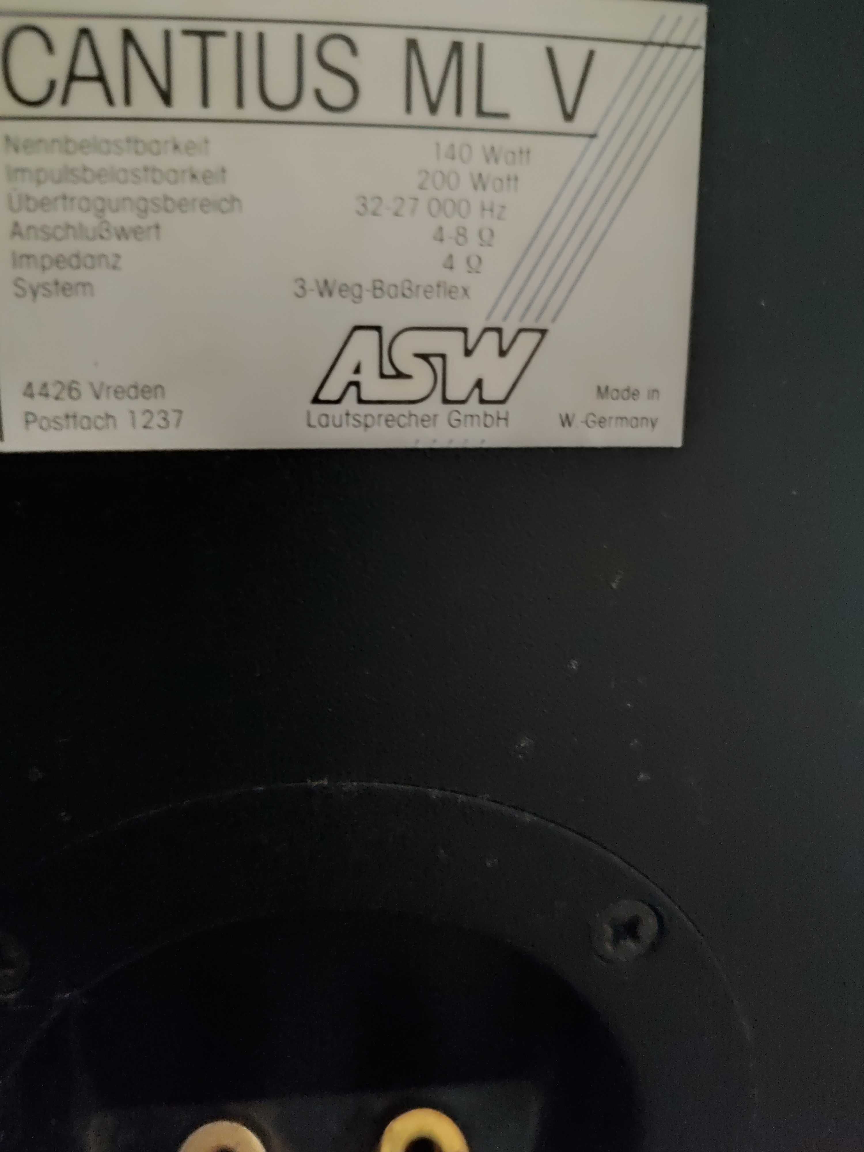 Kolumny podłogowe CANTIUS ML V ASW