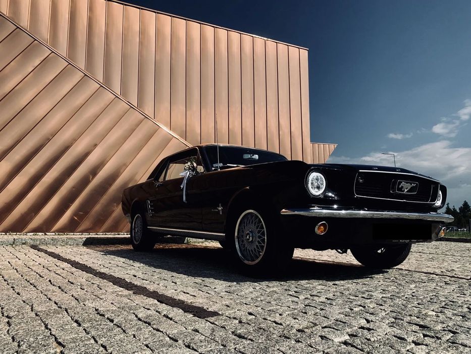 Ford Mustang BLACK Mustang 66'