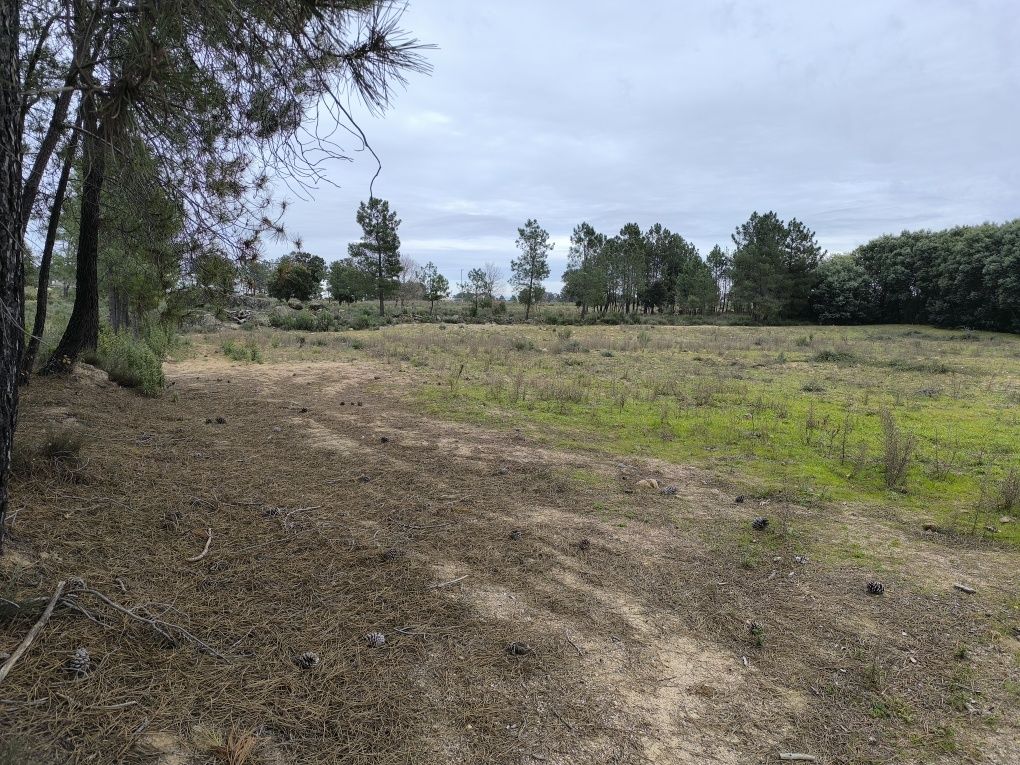 Terreno  com 6750 m2 em Catrão, Vale de Prazeres, Fundão.