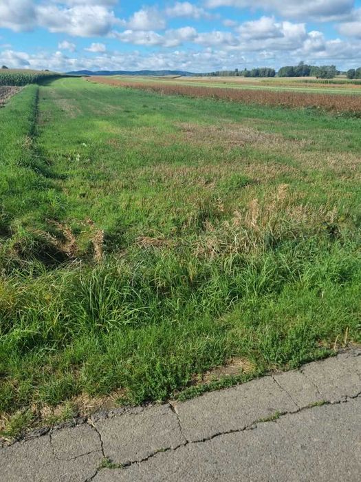 Działka budowlana 12 arów – Głowienka, ul. Polna – bez pośredników