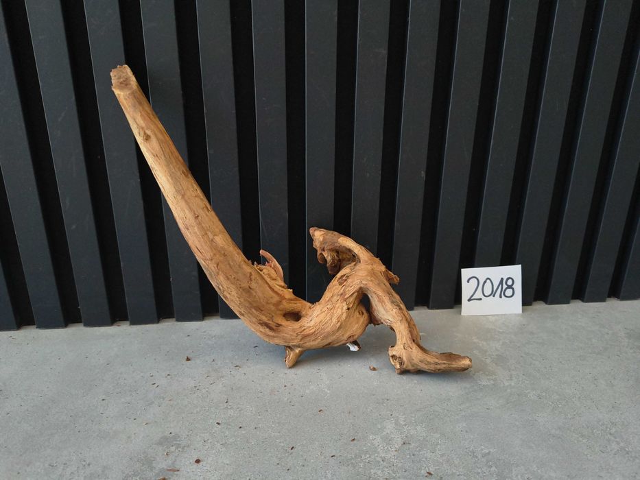 korzeń Bell Wood masywny 2018 do akwarium terrarium 39x15x10 NOWOŚĆ