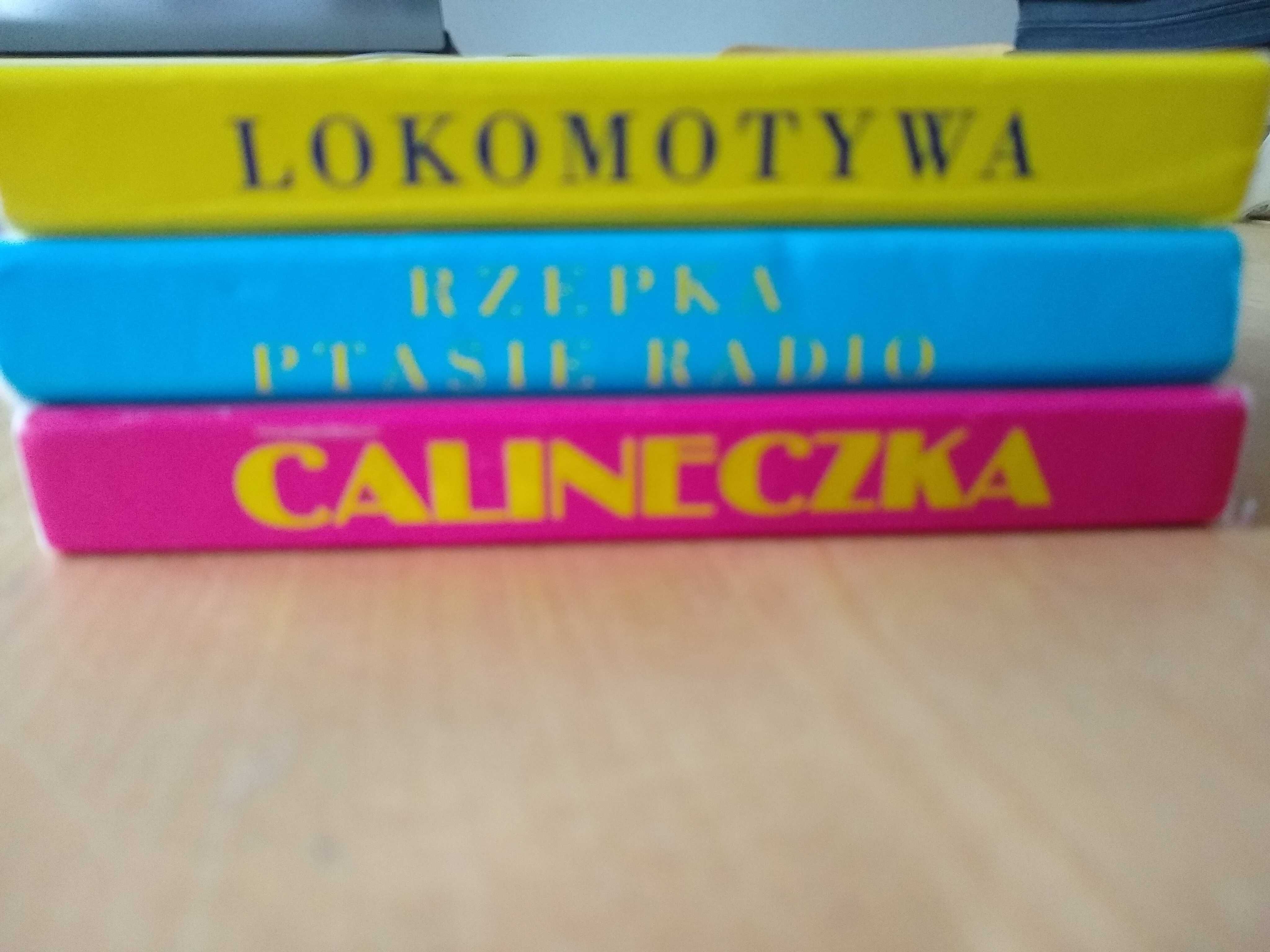 Lokomotywa, Rzepka, Ptasie Radio (Tuwim) + Calineczka - il. Szancer