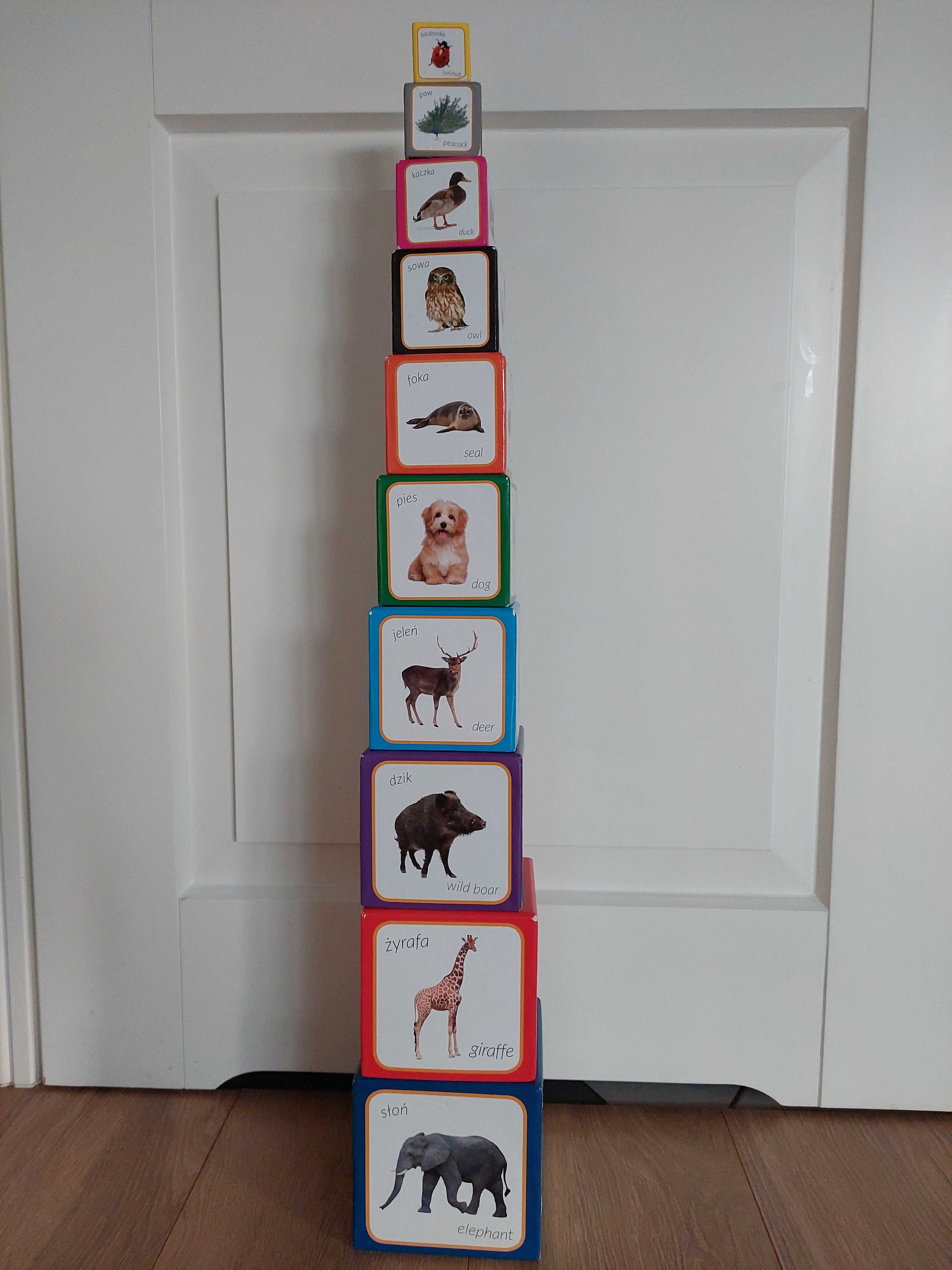 Piramida zabaw dwujęzyczna zwierzęta Montessori