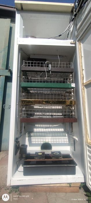 Інкубатор автоматичний на 250 яєць куриних