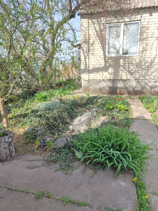 Продається добротний дачний будинок в с. Орлівщина (СТ "КООПЕРАТОР")