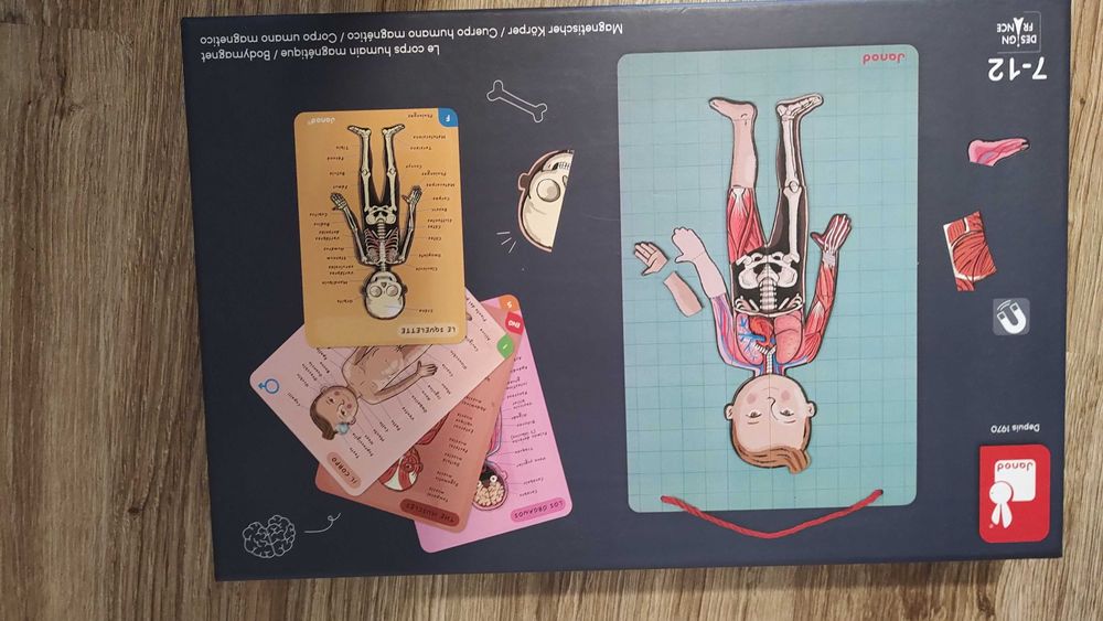 Janod ciało człowieka układanka magnetyczna