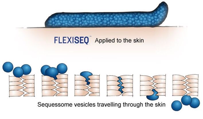 Flexiseq max gel 50г Англия при артрите Флексисек