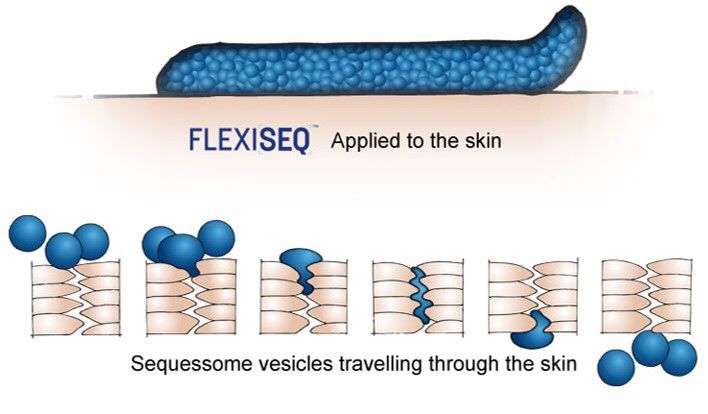 Flexiseq max gel 50г и 100г Англия при артрите